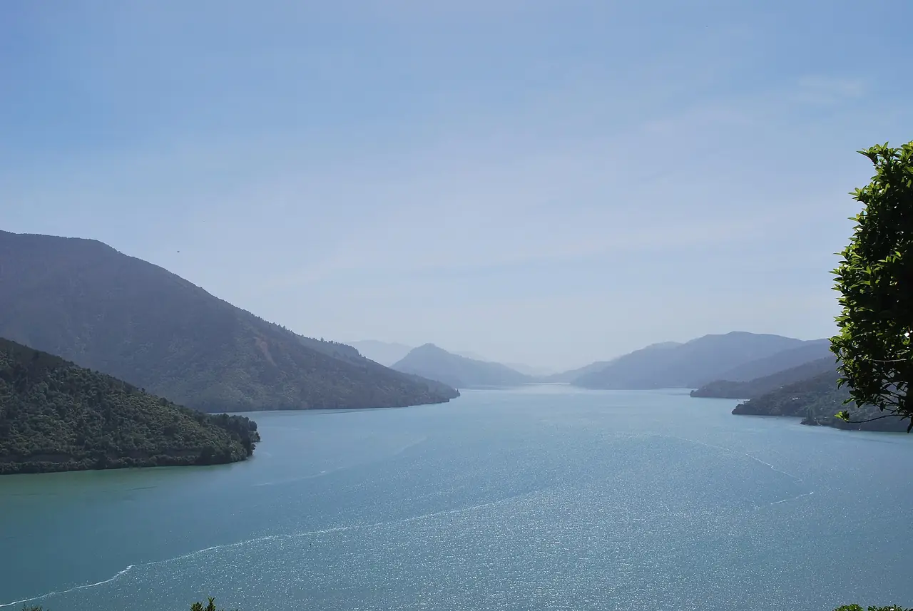 อ่าว Pelorus Sound ใกล้ Havelock มองจากจุดชมวิว ภาพจาก Wikimedia Commons ผู้ถ่าย Mattinbgn สัญญา CC BY 3.0 ไม่ระบุปีที่ถ่าย