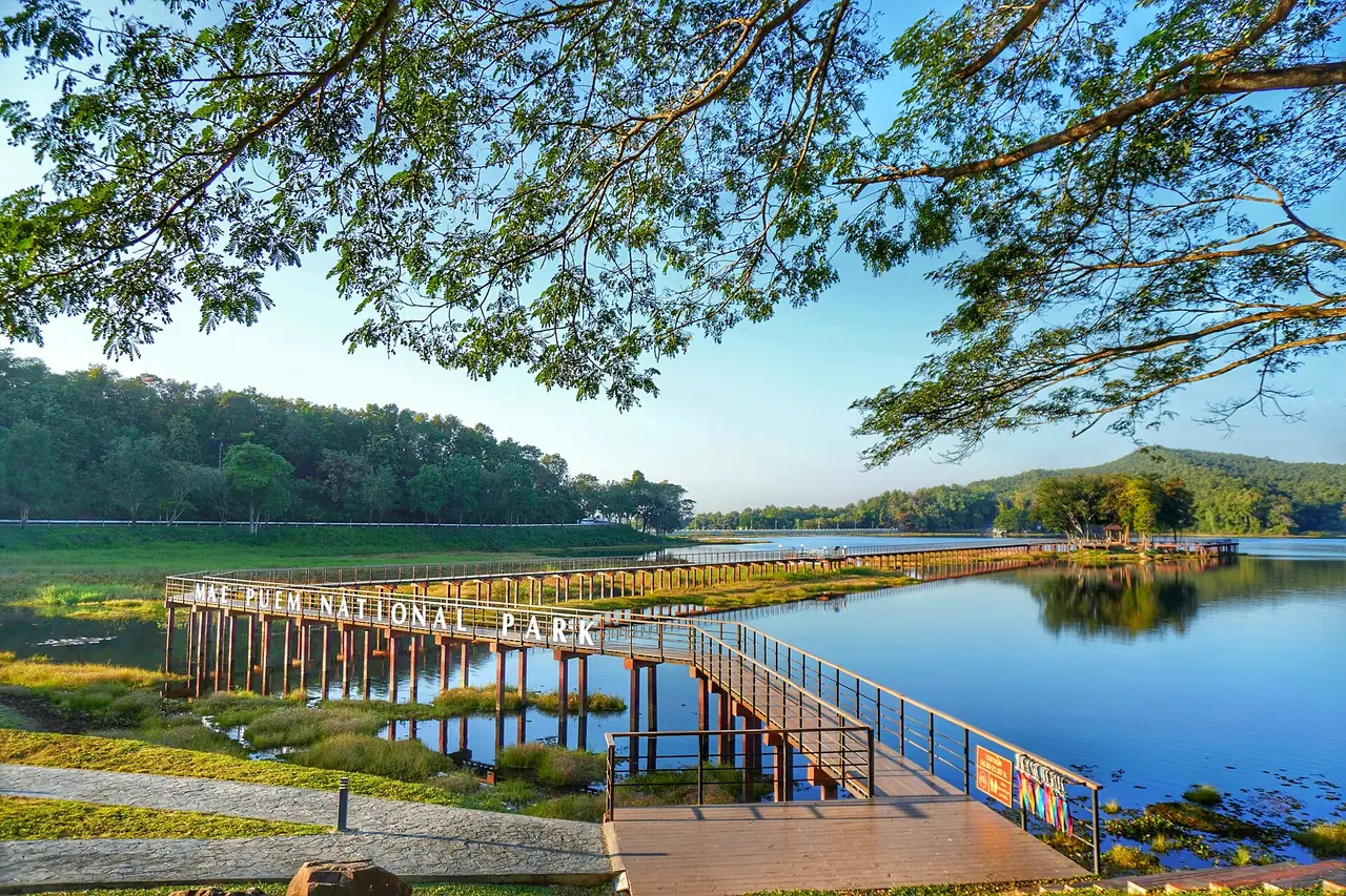 สะพานไม้ทอดยาวริมอ่างน้ำและเนินป่าที่อุทยานแห่งชาติแม่พริก จังหวัดพะเยา ภาพจาก Wikimedia Commons ผู้ถ่าย MEI NAPIKUL สัญญา CC BY-SA 4.0 เป็นภาพประกอบป่าผสมผลัดใบกับป่าเต็งรังในภาคเหนือ ไม่ใช่ภูฝอยลม