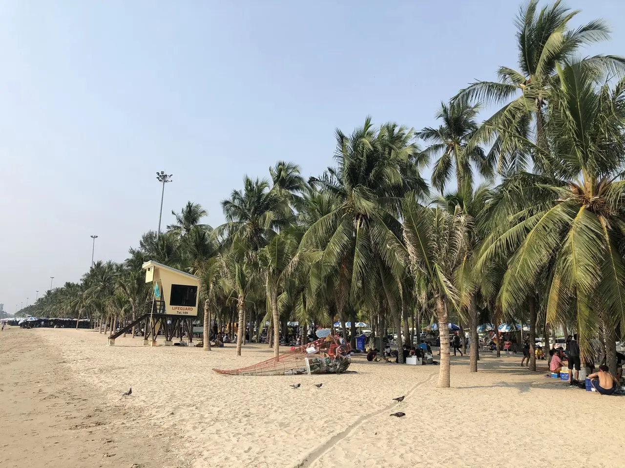 ภาพพัทยา: เที่ยวบางแสน 2569 หาดบางแสน วอนนภา เขาสามมุข