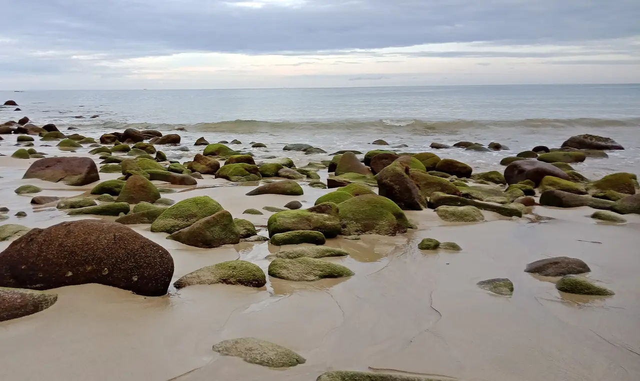 ชายหาดทรายที่มีก้อนหินเคลือบตะไคร่เขียวริมน้ำทะเล ภาพจาก Wikimedia Commons ผู้ถ่าย SEKSANSANSEK สัญญา CC BY-SA 4.0 ไฟล์ตั้งชื่อว่า Small sandy beach อยู่ในหมวดอุทยานเขาหลัก-ลำรู่ ถ่ายเมื่อไรไม่ระบุ
