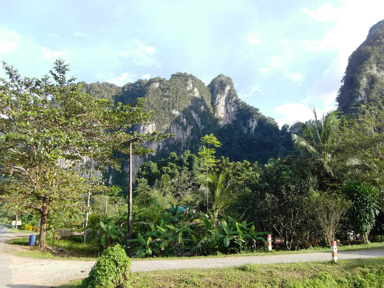 ภูเขาหินปูนริมถนนในอำเภอปะเหลียน จังหวัดตรัง ฝั่งแผ่นดินที่ตรงข้ามกับเกาะสุกร ภาพจาก Wikimedia Commons ผู้ถ่าย Mozhar สัญญา CC BY-SA 3.0 เป็นภาพประกอบของอำเภอ ไม่ใช่ภาพบนเกาะสุกร
