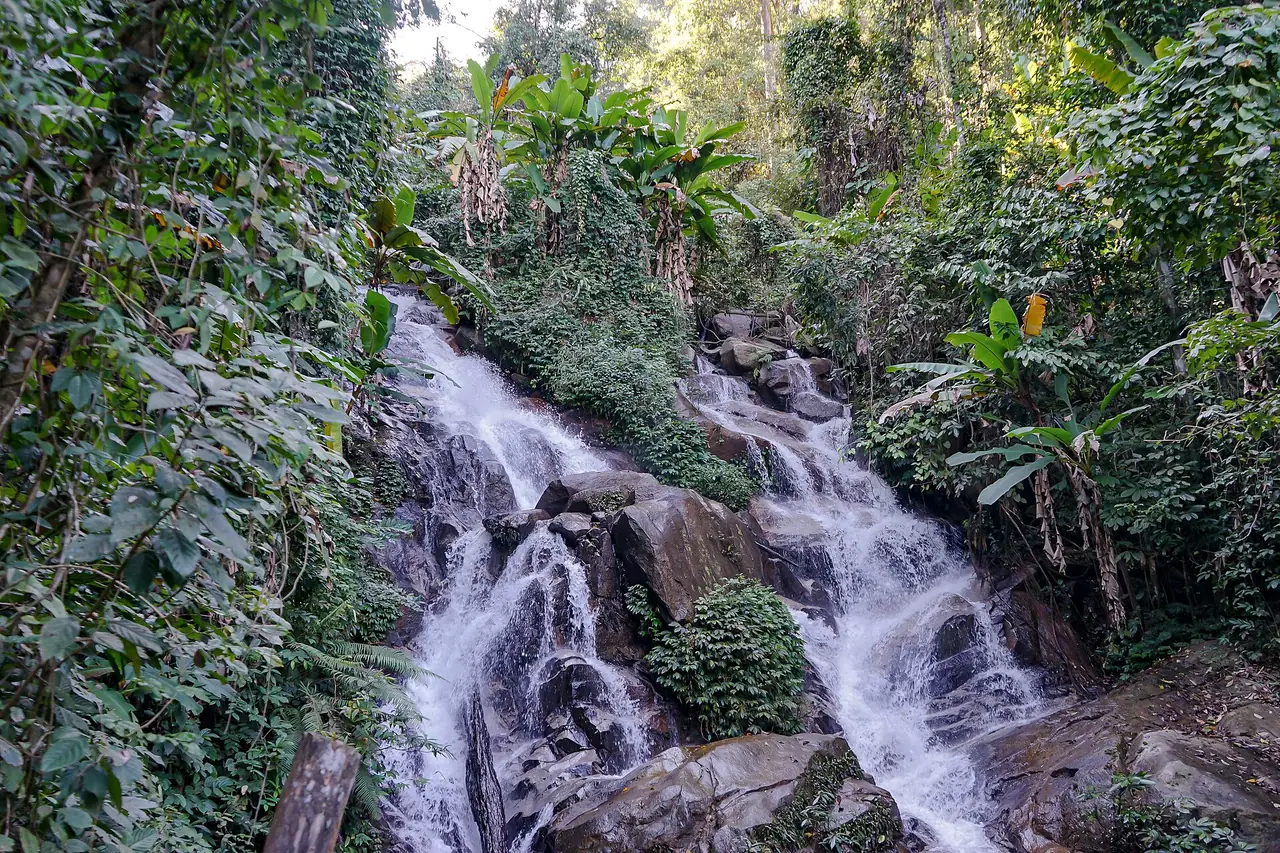 น้ำตกชั้นเล็กๆ ไหลลงหินท่ามกลางป่าชื้น ภาพจาก Wikimedia Commons ผู้ถ่าย Nina R from Africa สัญญา CC BY 2.0 ชื่อไฟล์ระบุว่าเป็นน้ำตกห้วยแก้ว ไม่ลงวันที่ถ่ายในรายละเอียดที่เราอ่าน ปริมาณน้ำขึ้นกับฤดู