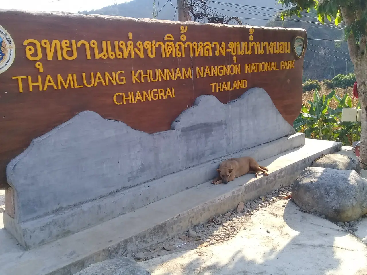 ป้ายไม้ ชื่อ อุทยานแห่งชาติถ้ำหลวง-ขุนน้ำนางนอน Thamluang Khunnamnangnon National Park Chiangrai Thailand มีสุนัขนอนอยู่ข้างป้าย ภาพจาก Wikimedia Commons ผู้ถ่าย Taweetham สัญญา CC BY-SA 4.0 ข้อมูลไฟล์ลงวันที่ถ่าย 20 ม.ค. 2566 จึงไม่ใช่หลักฐานของสถานะในปัจจุบัน