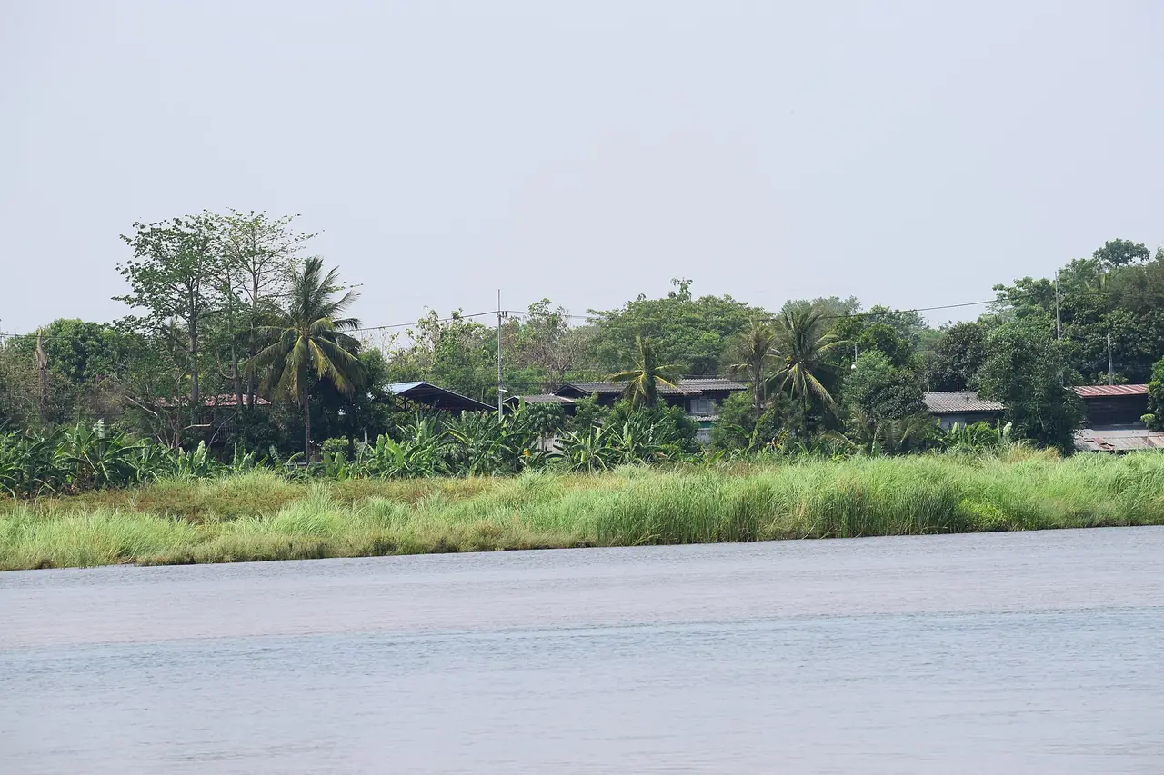 ริมฝั่งแม่น้ำปิงที่มีหญ้าสูงและบ้านเรือนหลังแนวต้นมะพร้าว ตามคำอธิบายไฟล์คือหมู่บ้านริมแม่น้ำปิงในจังหวัดตาก ห่างตัวเมืองตากไปทางเหนือราว 5-6 กม. ไม่ใช่กำแพงเพชร ใช้แสดงลักษณะตลิ่งแม่น้ำปิงในจังหวัดใกล้เคียง ภาพจาก Wikimedia Commons ผู้ถ่าย PumpkinSky สัญญา CC BY-SA 4.0 ถ่ายวันที่ 10 เมษายน 2560