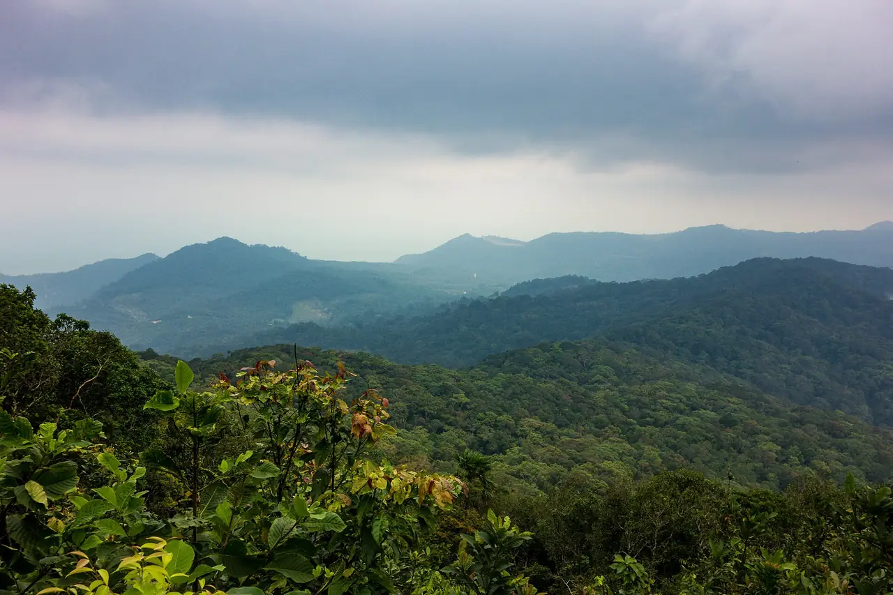 ภูเขาป่าฝนซ้อนกันภายใต้ท้องฟ้าครึ้มฝนบนเกาะพะงัน ภาพทั่วไปของภูมิประเทศเกาะ ไม่ใช่ภาพจากรีสอร์ตและไม่ได้ระบุว่าเป็นเขาราที่หน้าเว็บอ้างถึง ภาพจาก Wikimedia Commons ผู้ถ่าย Visions of Domino สัญญา CC BY 2.0