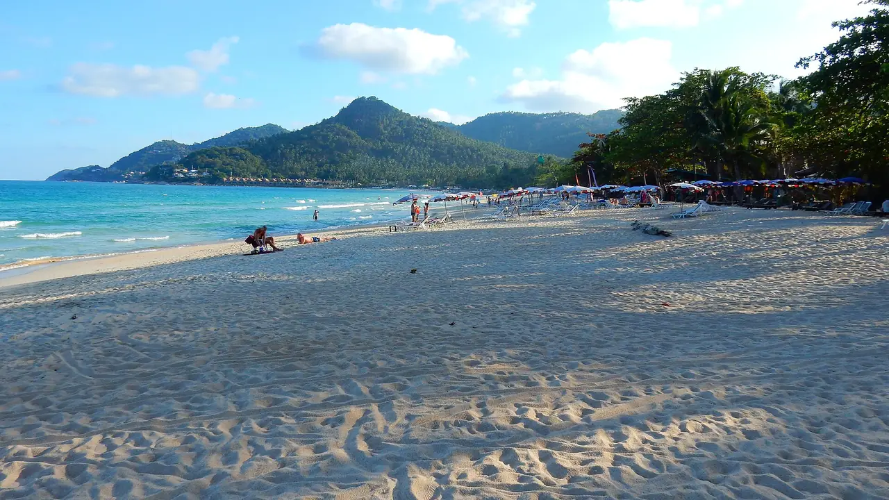 แนวชายหาดและเนินเขาที่ Commons ติดป้ายว่าเฉวงน้อย ภาพถ่ายเดือนกุมภาพันธ์ 2558 เป็นภาพเก่า ใช้ประกอบเพื่อให้เห็นลักษณะอ่าว ภาพจาก Wikimedia Commons ผู้ถ่าย Roma Neus สัญญา CC BY 3.0